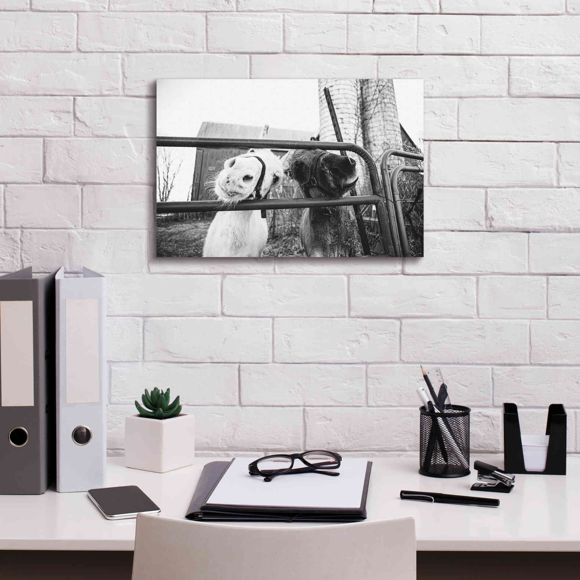 'Hey Donkeys I' by Donnie Quillen Canvas Wall Art,18 x 12