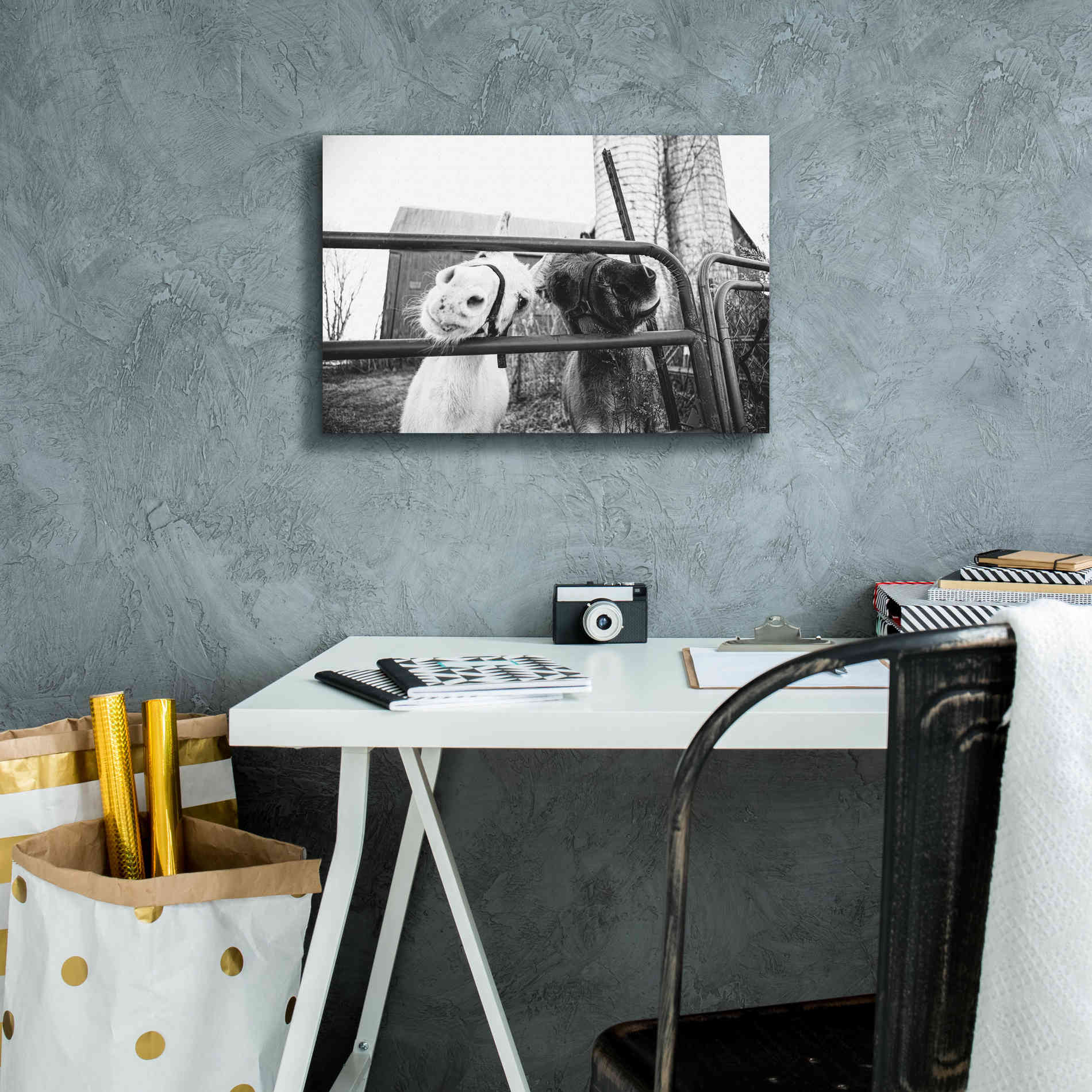 'Hey Donkeys I' by Donnie Quillen Canvas Wall Art,18 x 12