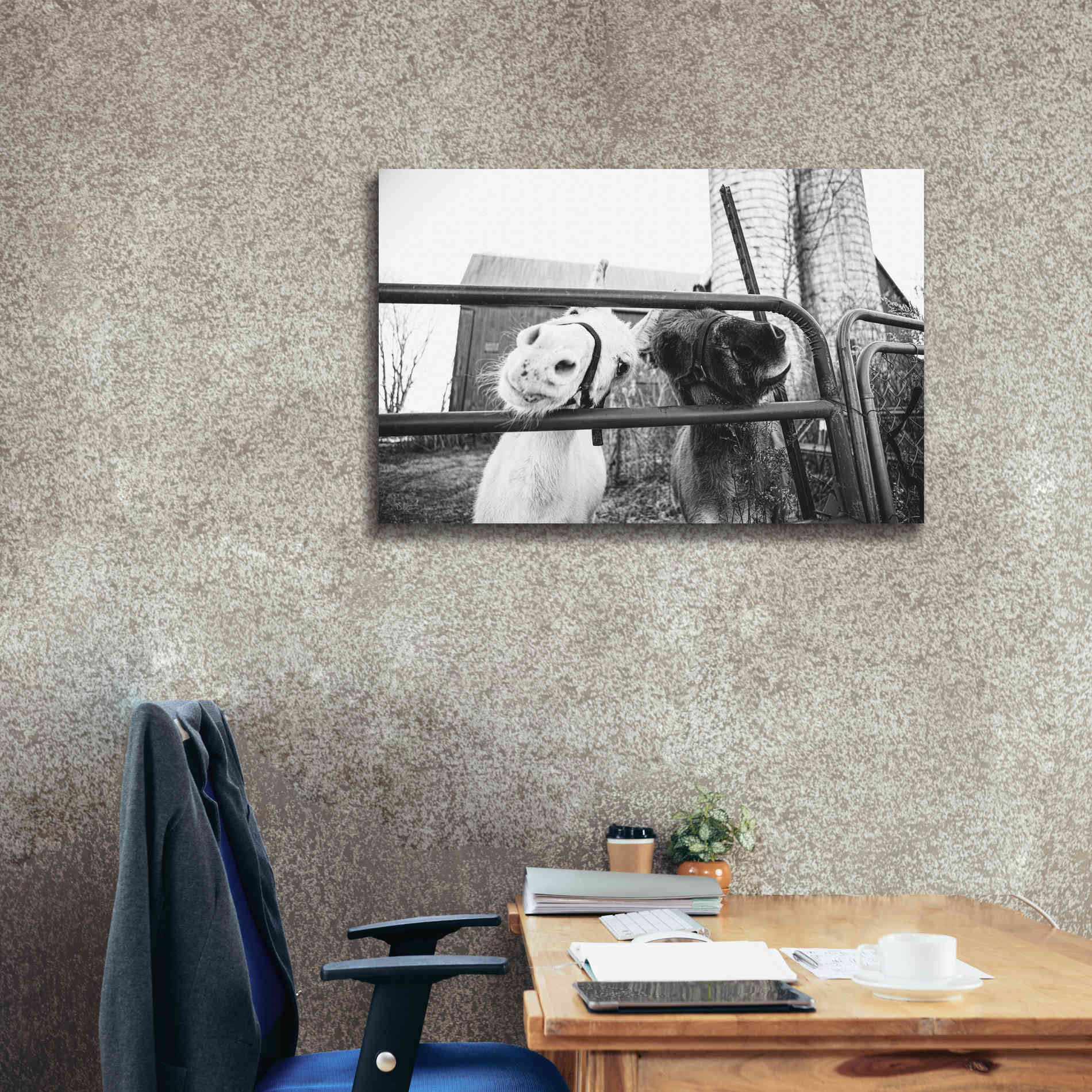 'Hey Donkeys I' by Donnie Quillen Canvas Wall Art,40 x 26