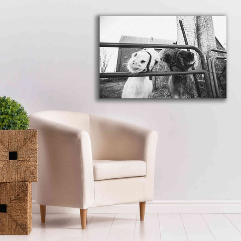 Image of 'Hey Donkeys I' by Donnie Quillen Canvas Wall Art,40 x 26