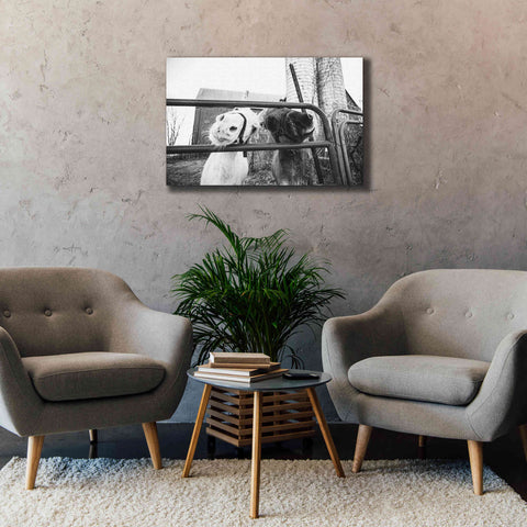 Image of 'Hey Donkeys I' by Donnie Quillen Canvas Wall Art,40 x 26