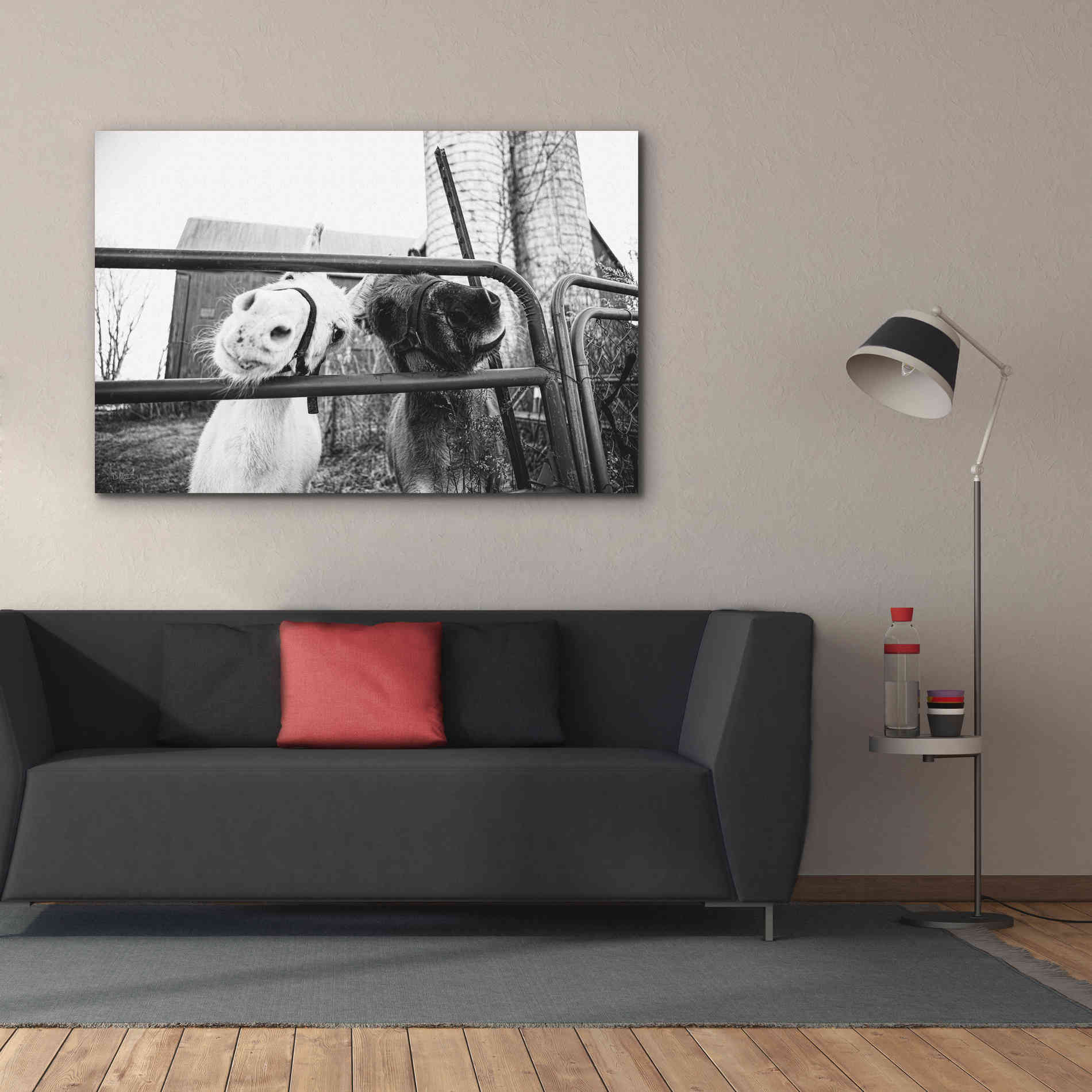 'Hey Donkeys I' by Donnie Quillen Canvas Wall Art,60 x 40