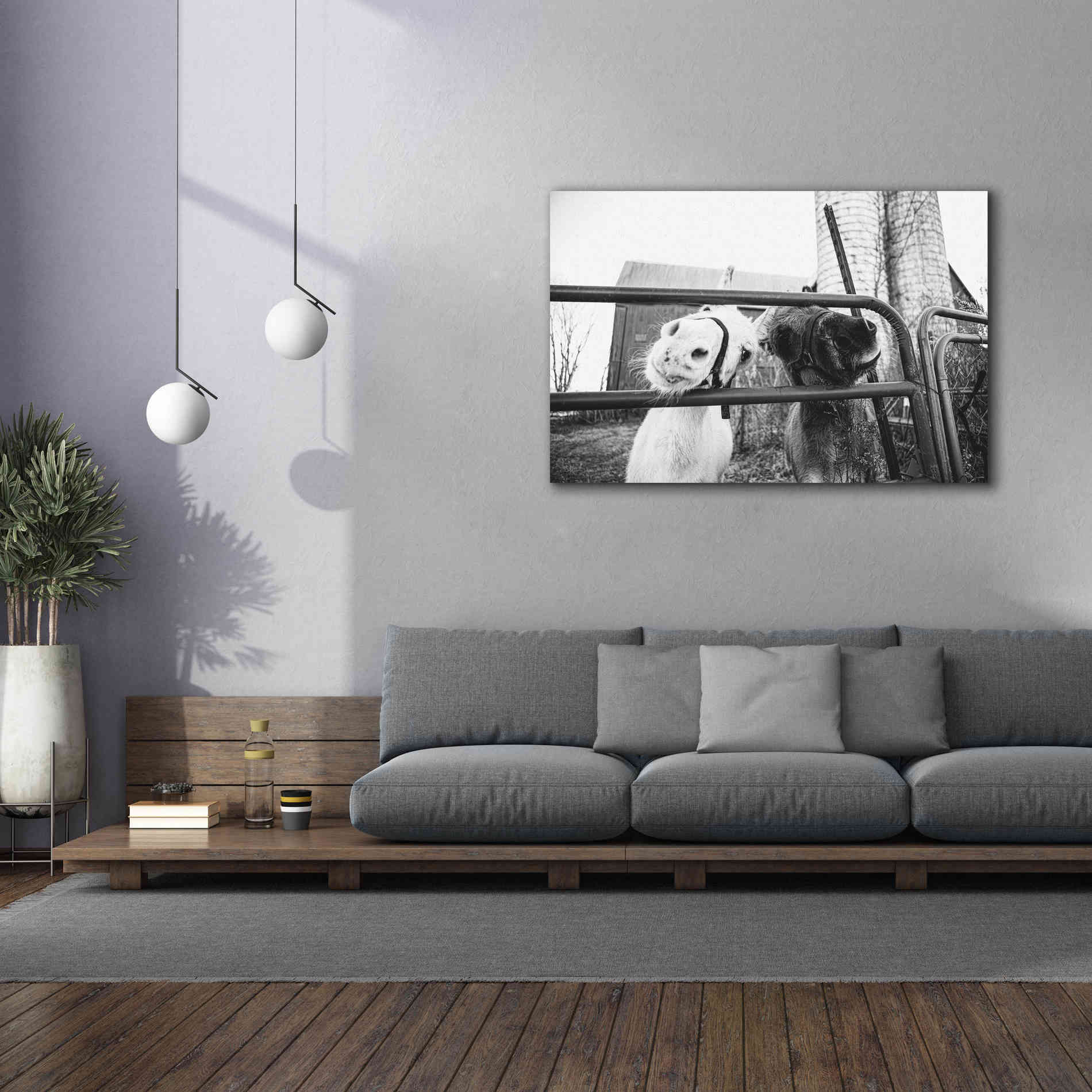 'Hey Donkeys I' by Donnie Quillen Canvas Wall Art,60 x 40