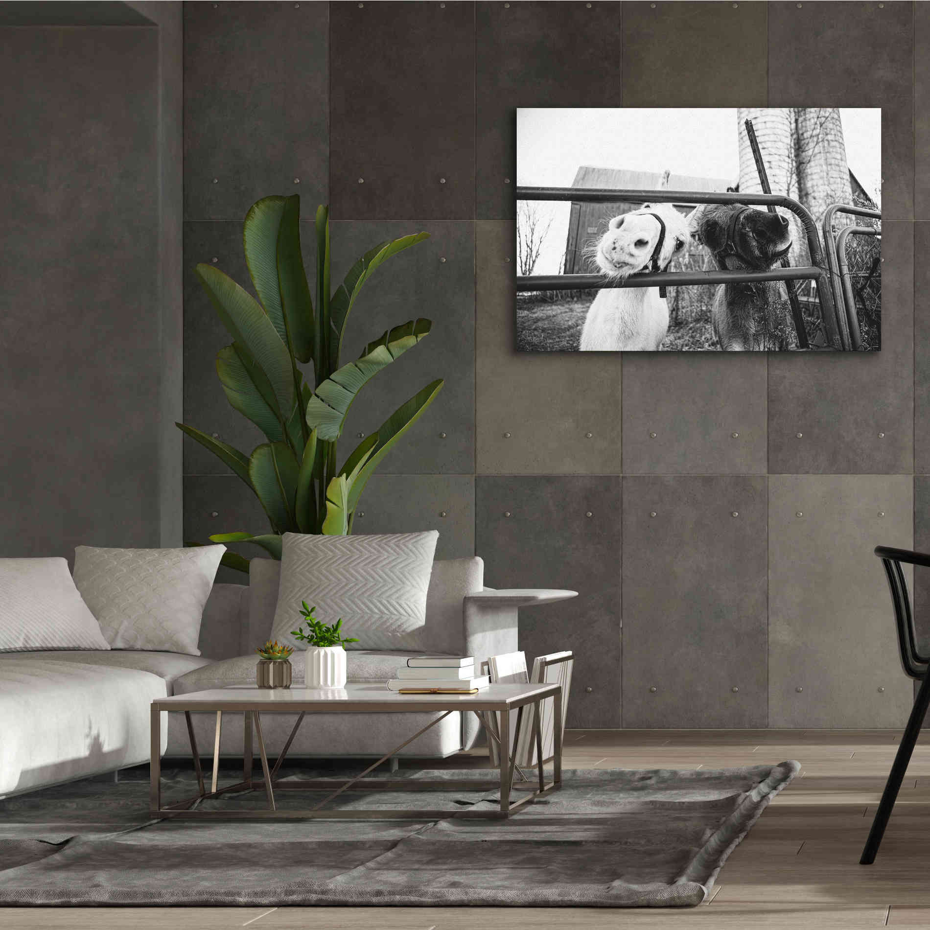 'Hey Donkeys I' by Donnie Quillen Canvas Wall Art,60 x 40