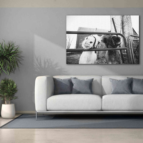 Image of 'Hey Donkeys I' by Donnie Quillen Canvas Wall Art,60 x 40