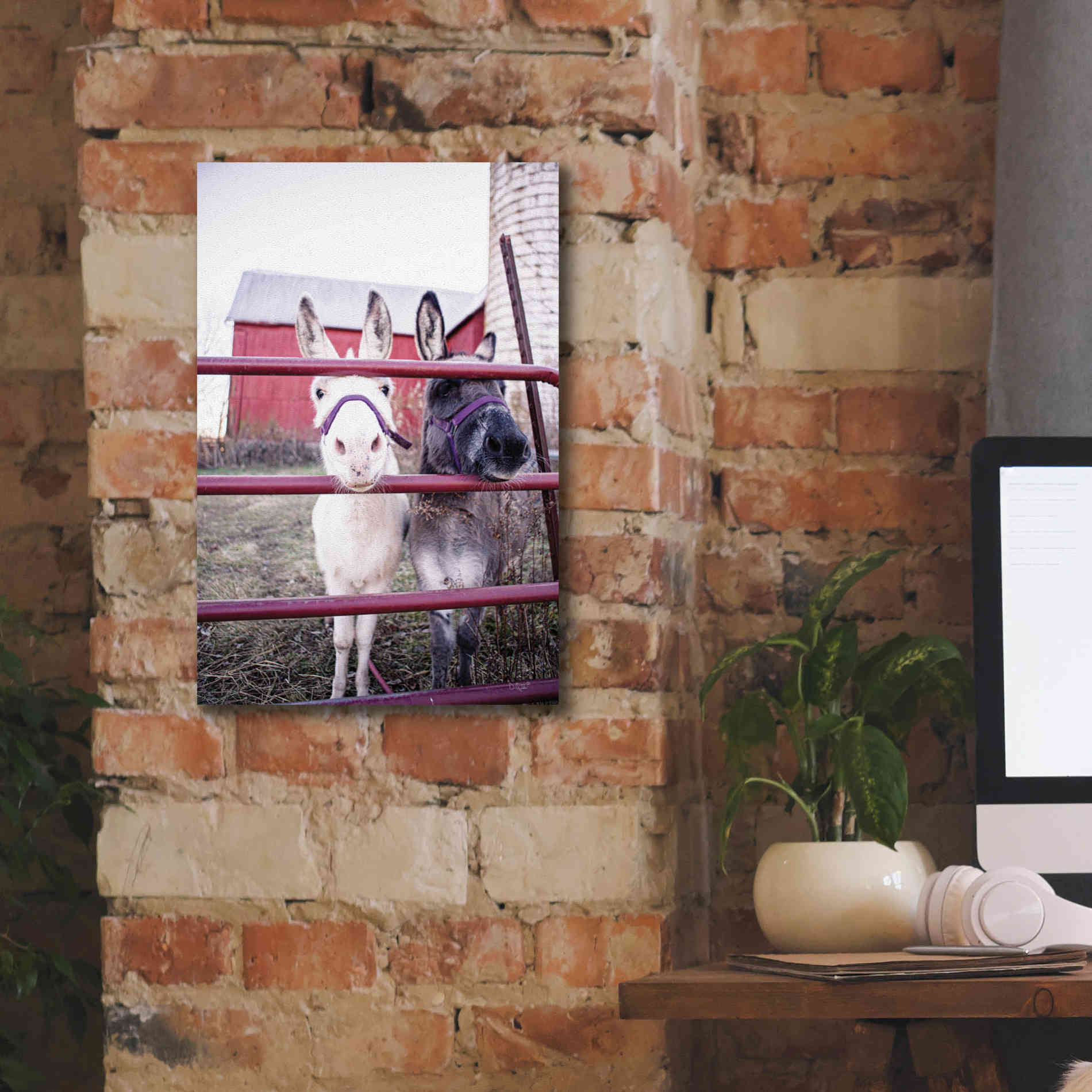 'Mommy & Daughter Donkeys' by Donnie Quillen Canvas Wall Art,12 x 18