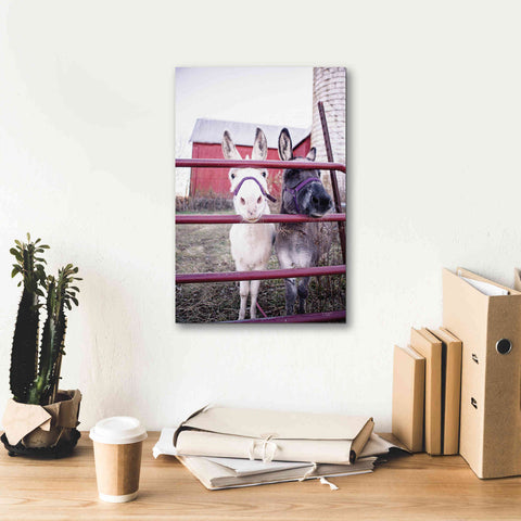 Image of 'Mommy & Daughter Donkeys' by Donnie Quillen Canvas Wall Art,12 x 18