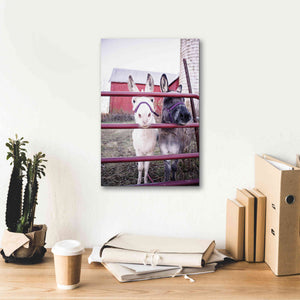 'Mommy & Daughter Donkeys' by Donnie Quillen Canvas Wall Art,12 x 18