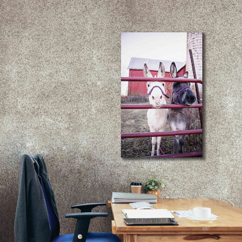 Image of 'Mommy & Daughter Donkeys' by Donnie Quillen Canvas Wall Art,26 x 40