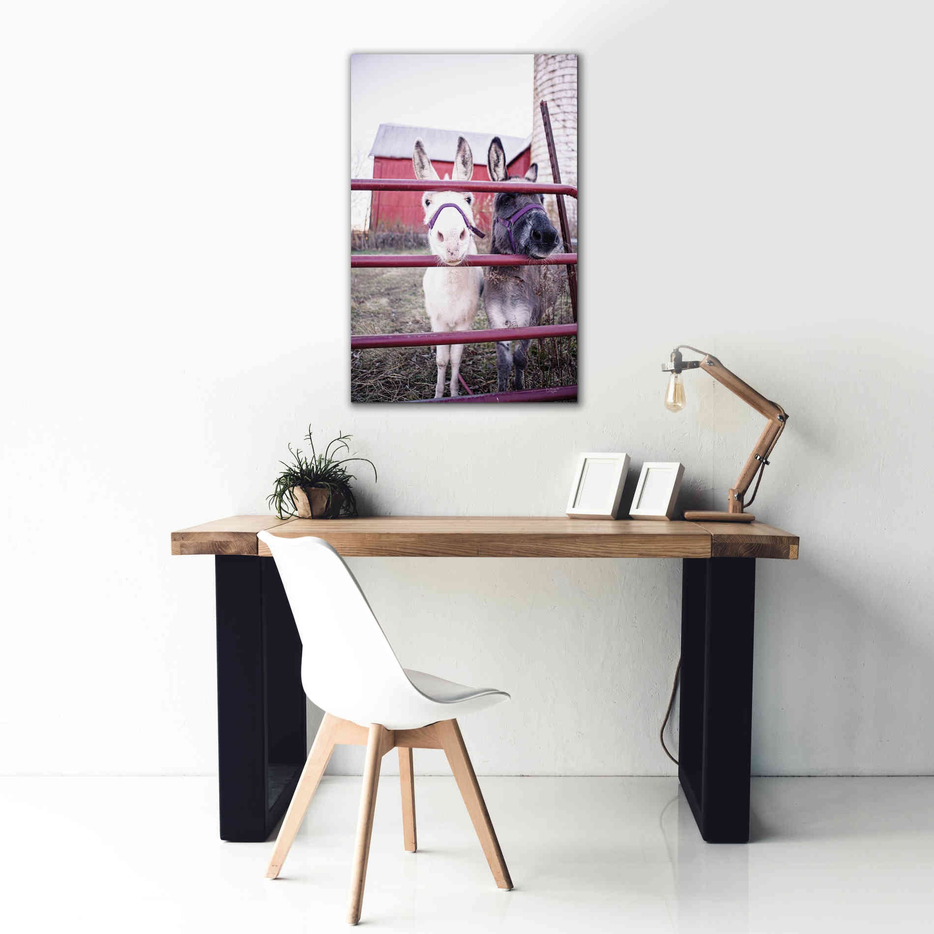 'Mommy & Daughter Donkeys' by Donnie Quillen Canvas Wall Art,26 x 40