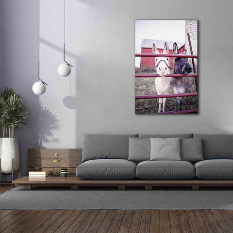 Image of 'Mommy & Daughter Donkeys' by Donnie Quillen Canvas Wall Art,40 x 60