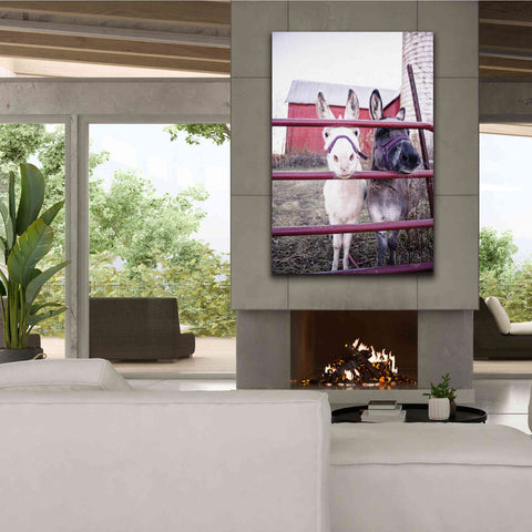 Image of 'Mommy & Daughter Donkeys' by Donnie Quillen Canvas Wall Art,40 x 60