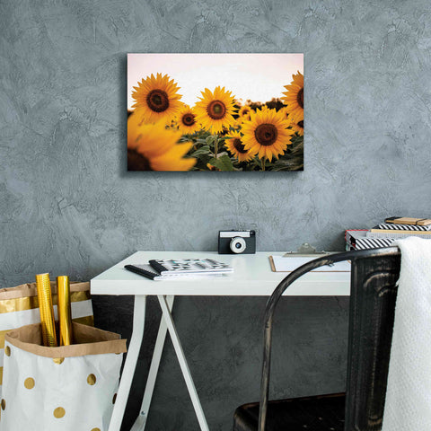 Image of 'Sunflower Field' by Donnie Quillen Canvas Wall Art,18 x 12