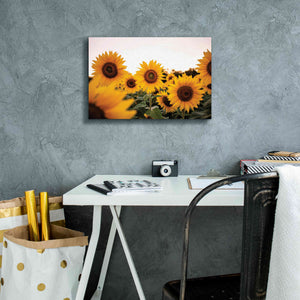 'Sunflower Field' by Donnie Quillen Canvas Wall Art,18 x 12