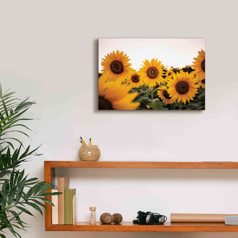 Image of 'Sunflower Field' by Donnie Quillen Canvas Wall Art,18 x 12