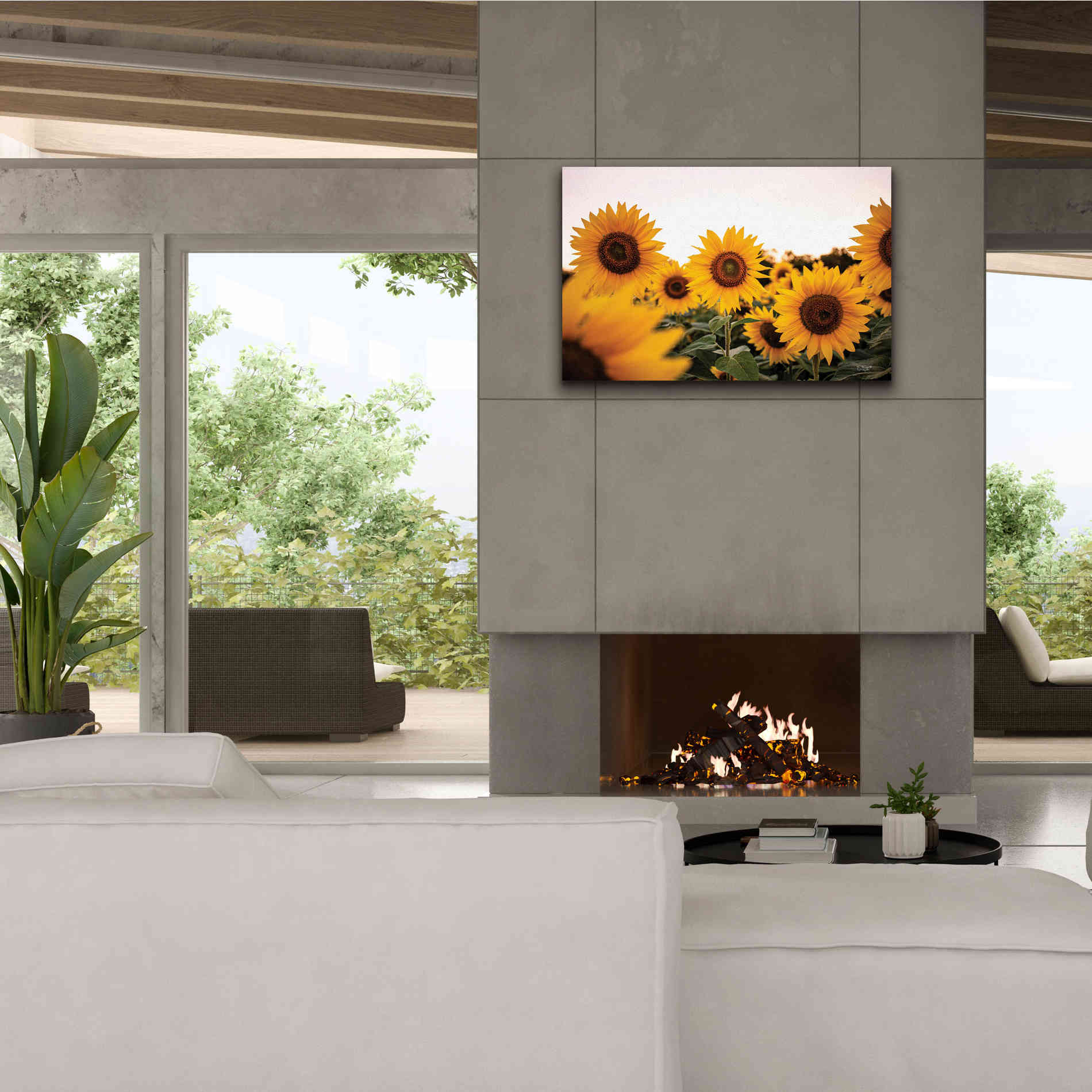 'Sunflower Field' by Donnie Quillen Canvas Wall Art,40 x 26