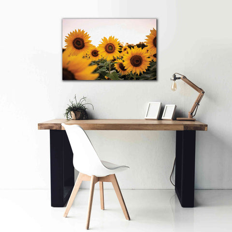 Image of 'Sunflower Field' by Donnie Quillen Canvas Wall Art,40 x 26