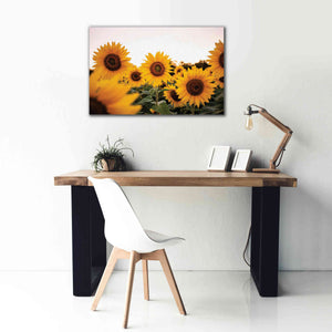 'Sunflower Field' by Donnie Quillen Canvas Wall Art,40 x 26