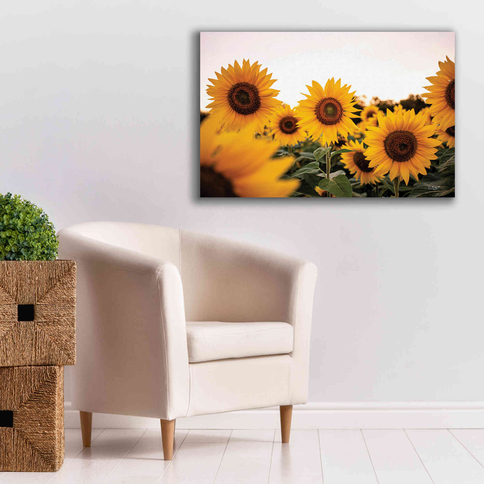 'Sunflower Field' by Donnie Quillen Canvas Wall Art,40 x 26