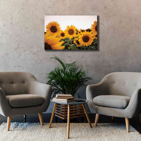 Image of 'Sunflower Field' by Donnie Quillen Canvas Wall Art,40 x 26