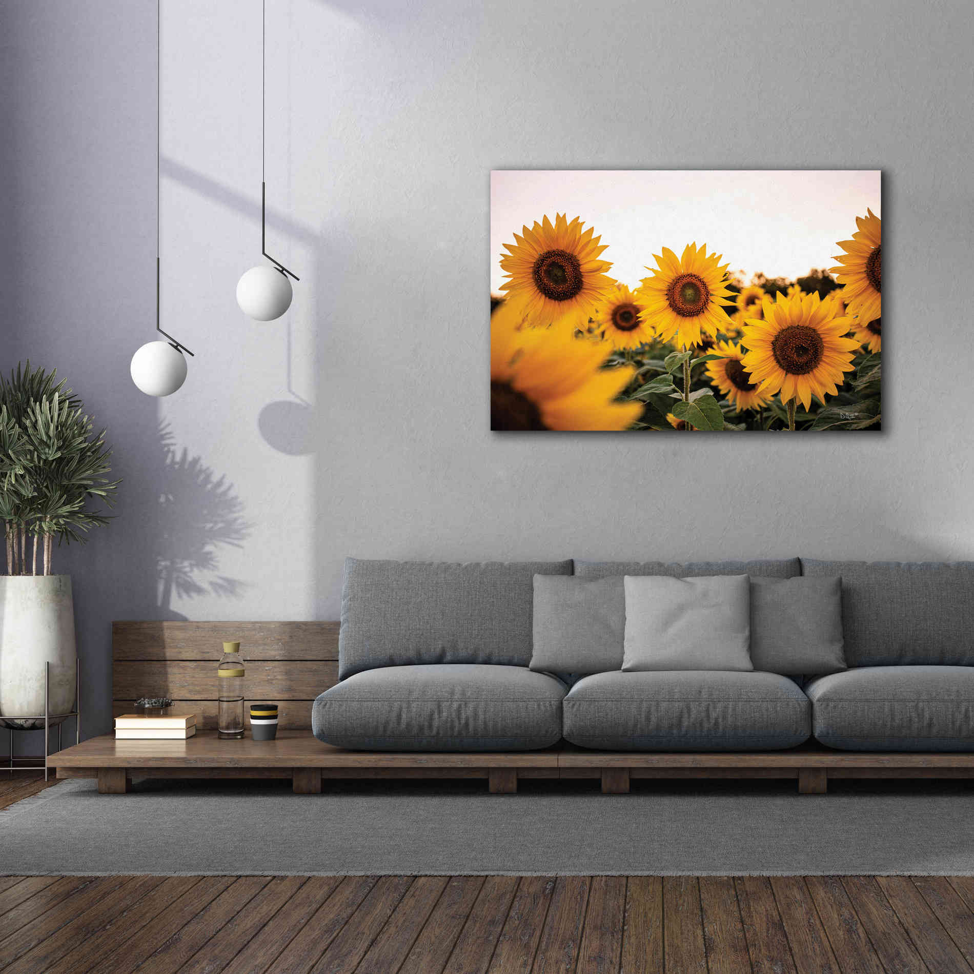 'Sunflower Field' by Donnie Quillen Canvas Wall Art,60 x 40