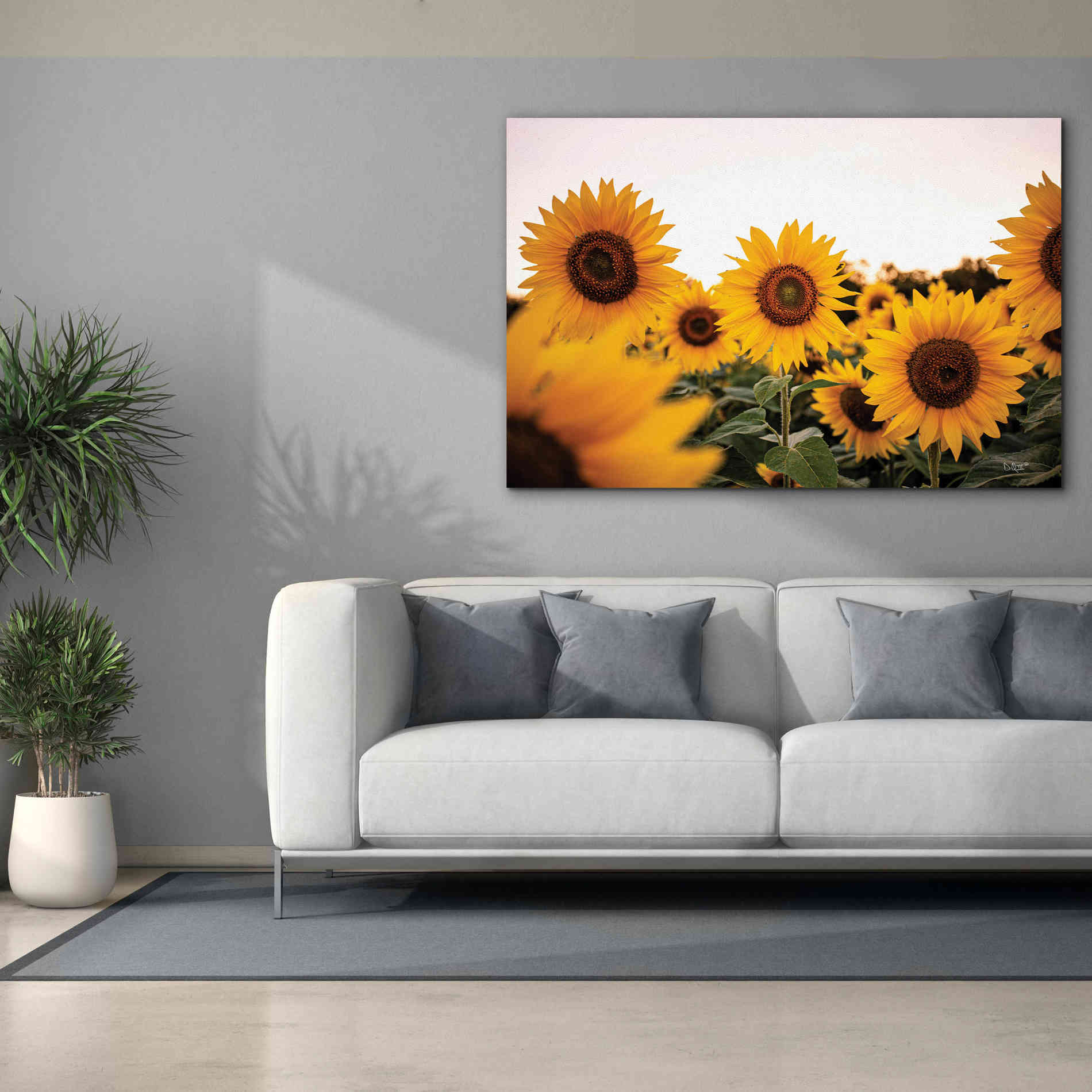 'Sunflower Field' by Donnie Quillen Canvas Wall Art,60 x 40