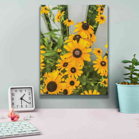 Image of 'Bed of Yellow' by Donnie Quillen Canvas Wall Art,12 x 16