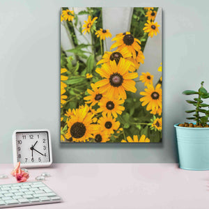 'Bed of Yellow' by Donnie Quillen Canvas Wall Art,12 x 16