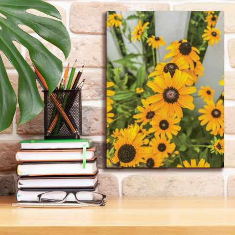 Image of 'Bed of Yellow' by Donnie Quillen Canvas Wall Art,12 x 16