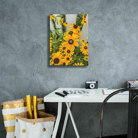 Image of 'Bed of Yellow' by Donnie Quillen Canvas Wall Art,12 x 16