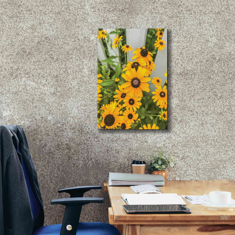 Image of 'Bed of Yellow' by Donnie Quillen Canvas Wall Art,18 x 26