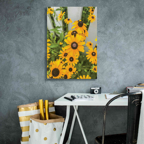 Image of 'Bed of Yellow' by Donnie Quillen Canvas Wall Art,18 x 26