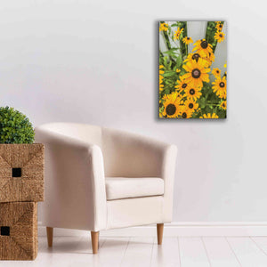 'Bed of Yellow' by Donnie Quillen Canvas Wall Art,18 x 26