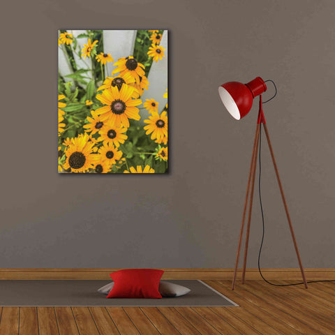 Image of 'Bed of Yellow' by Donnie Quillen Canvas Wall Art,26 x 34