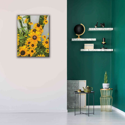 Image of 'Bed of Yellow' by Donnie Quillen Canvas Wall Art,26 x 34