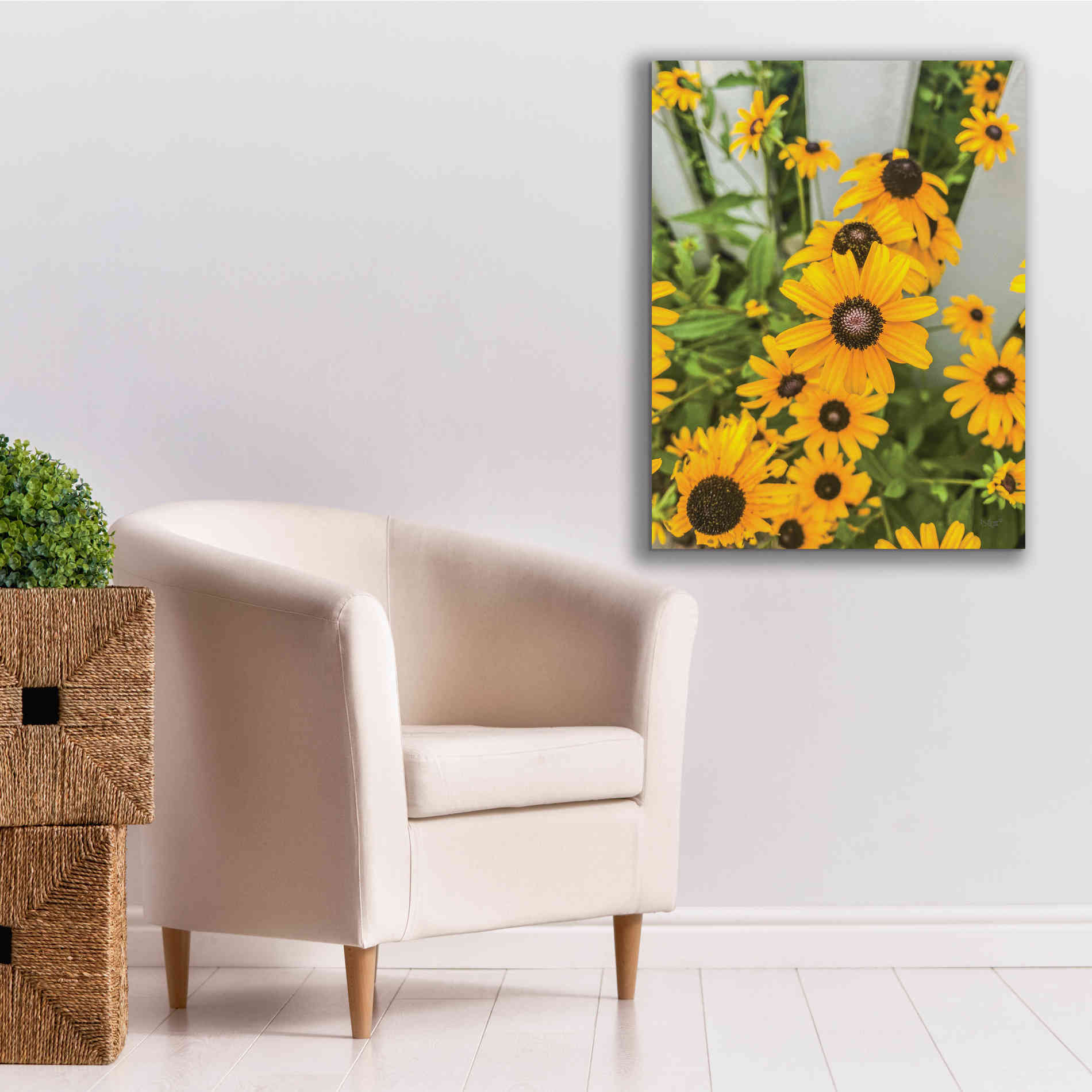 'Bed of Yellow' by Donnie Quillen Canvas Wall Art,26 x 34