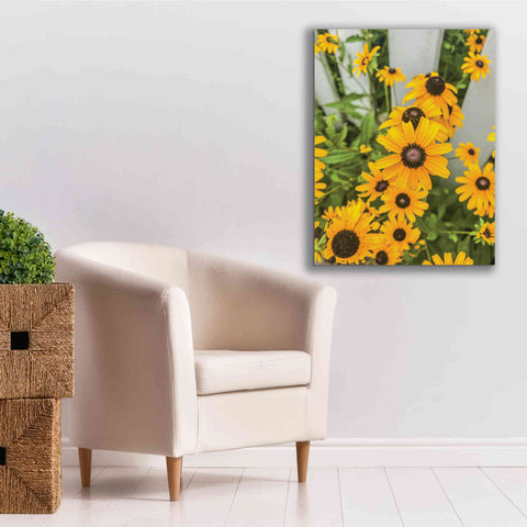 Image of 'Bed of Yellow' by Donnie Quillen Canvas Wall Art,26 x 34