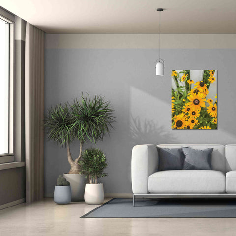 Image of 'Bed of Yellow' by Donnie Quillen Canvas Wall Art,26 x 34