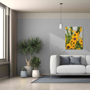 'Bed of Yellow' by Donnie Quillen Canvas Wall Art,26 x 34