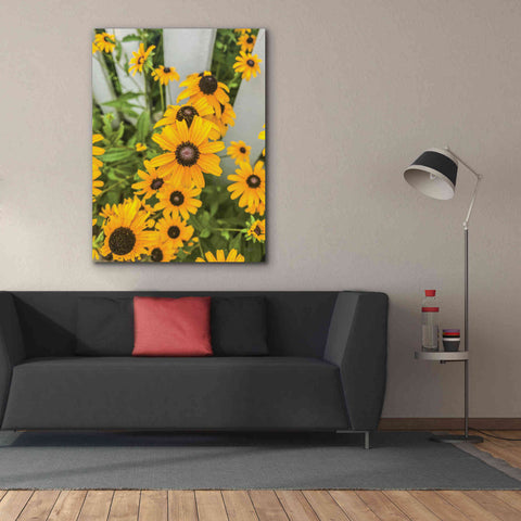 Image of 'Bed of Yellow' by Donnie Quillen Canvas Wall Art,40 x 54