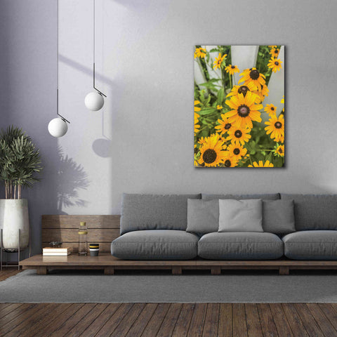 Image of 'Bed of Yellow' by Donnie Quillen Canvas Wall Art,40 x 54