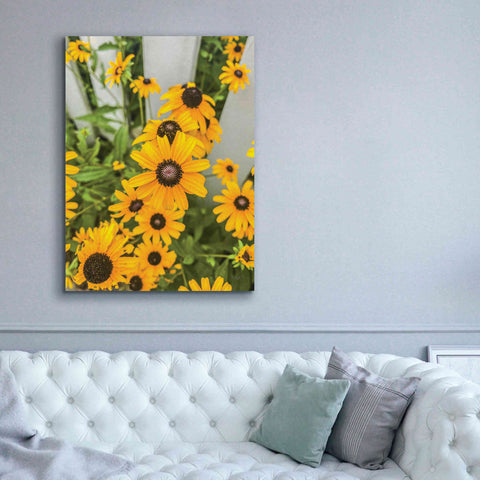 Image of 'Bed of Yellow' by Donnie Quillen Canvas Wall Art,40 x 54