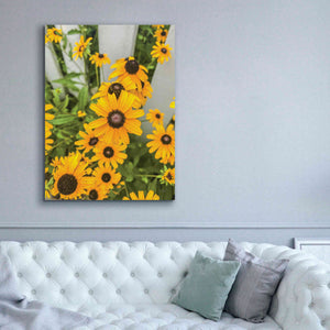 'Bed of Yellow' by Donnie Quillen Canvas Wall Art,40 x 54