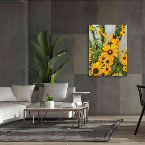 Image of 'Bed of Yellow' by Donnie Quillen Canvas Wall Art,40 x 54