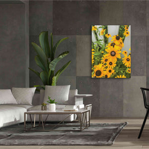 'Bed of Yellow' by Donnie Quillen Canvas Wall Art,40 x 54