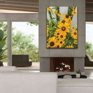 'Bed of Yellow' by Donnie Quillen Canvas Wall Art,40 x 54