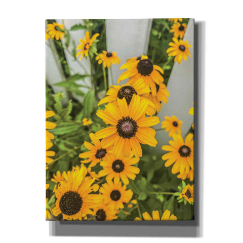 Image of 'Bed of Yellow' by Donnie Quillen Canvas Wall Art