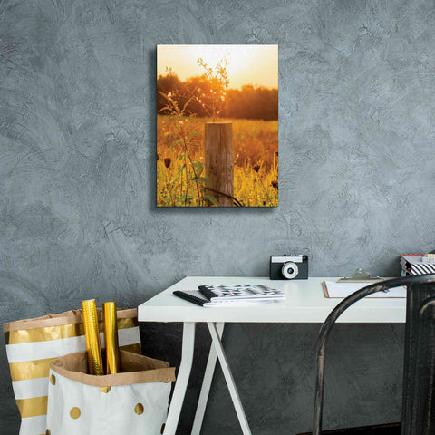 Image of 'Post' by Donnie Quillen Canvas Wall Art,12 x 16