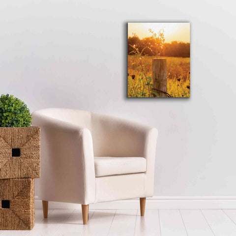 Image of 'Post' by Donnie Quillen Canvas Wall Art,20 x 24
