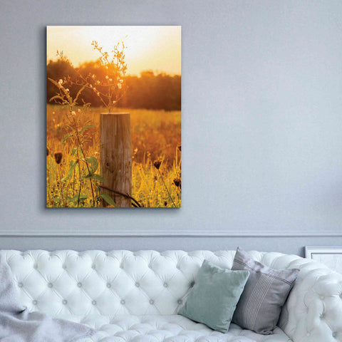 Image of 'Post' by Donnie Quillen Canvas Wall Art,40 x 54